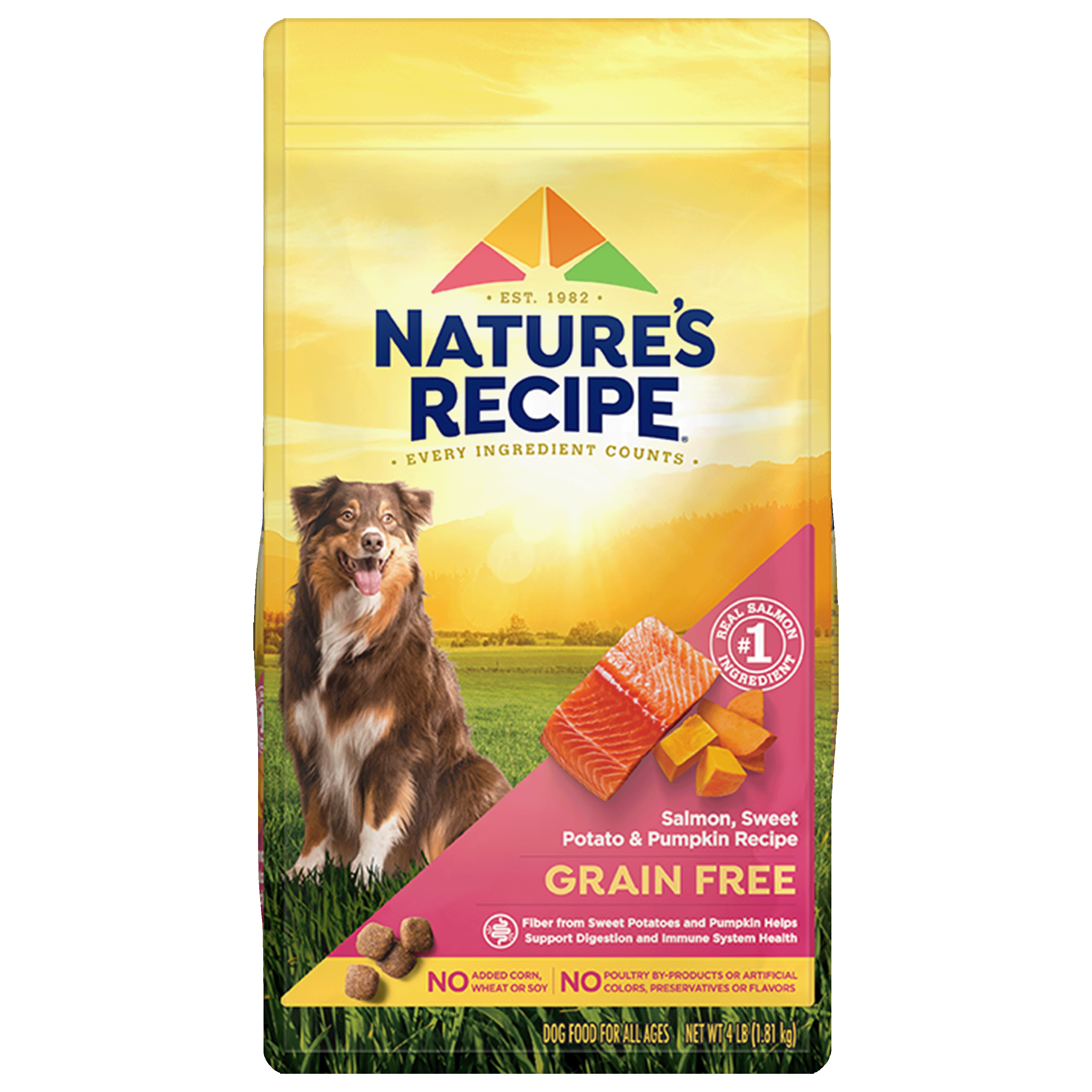 Nature s Recipe Grain Free Salmon Sweet Potato Pumpkin Recipe Dry Dog Food