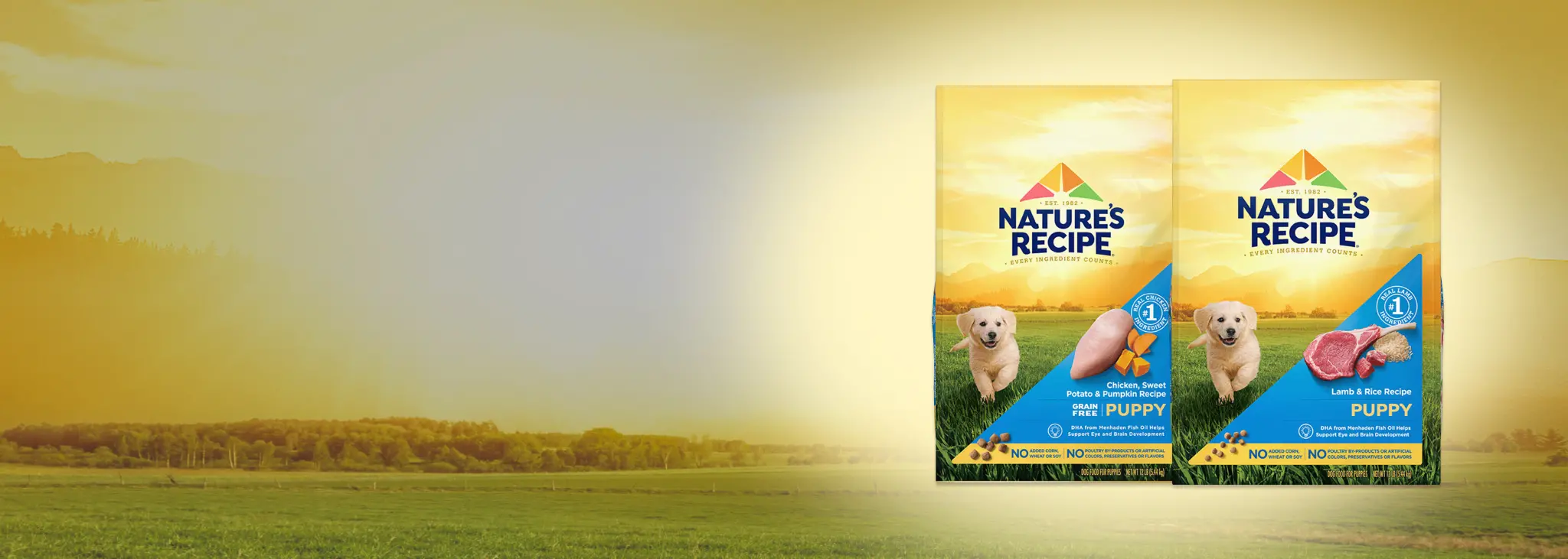 Nature's recipe puppy food fashion grain free